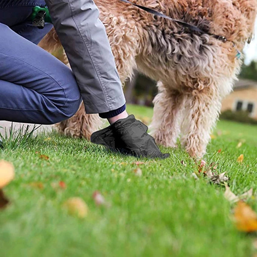 Reflective Dog Leash – Durable Rope Lead with Soft Padded Handle