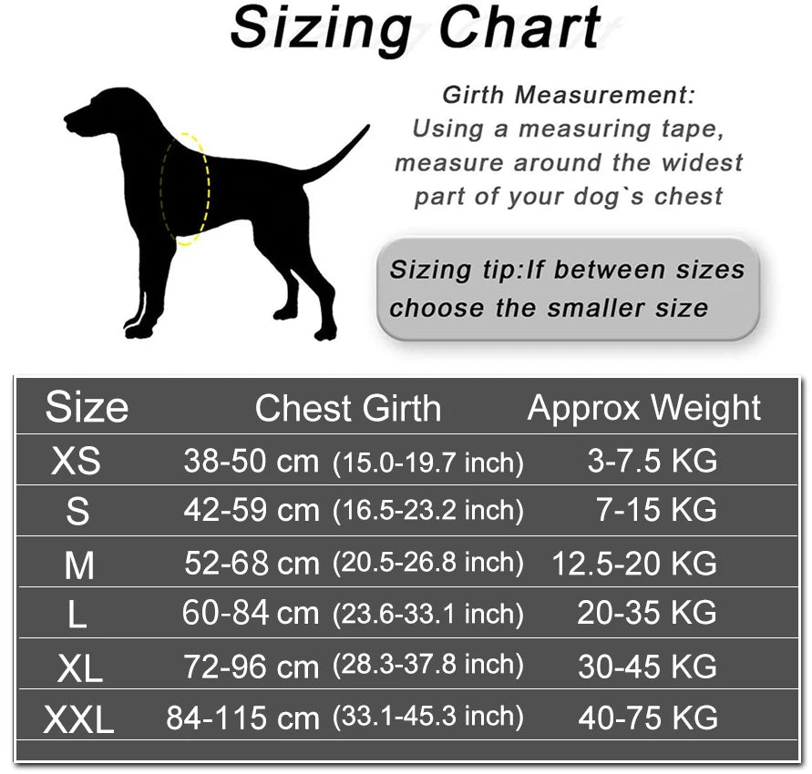Personalized No-Pull Dog Harness – Reflective, Adjustable, & Choke-Free
