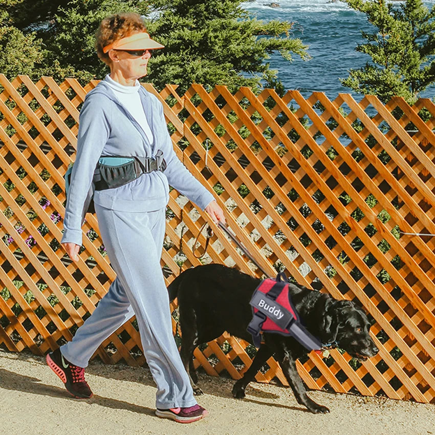 Personalized No-Pull Dog Harness – Reflective, Adjustable, & Choke-Free