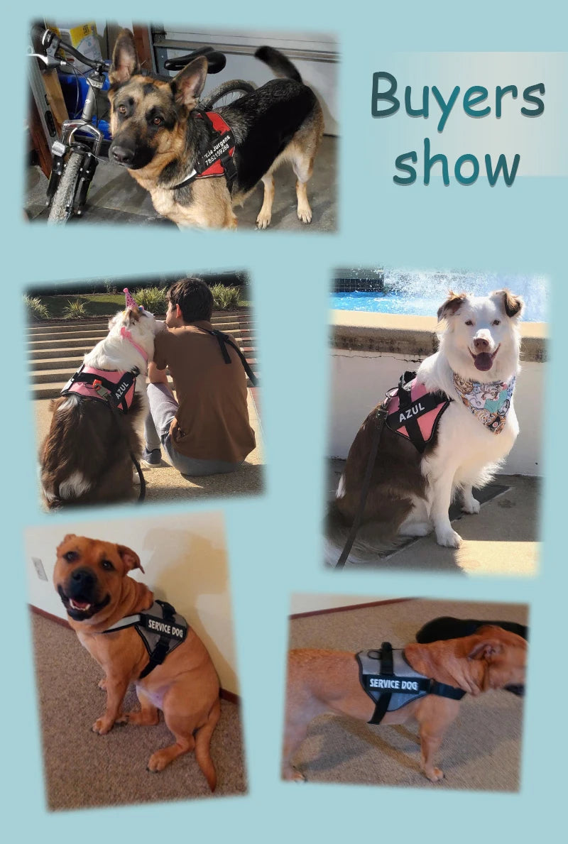 Personalized No-Pull Dog Harness – Reflective, Adjustable, & Choke-Free