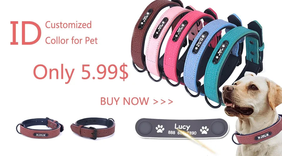 Reflective Dog Leash – Durable Rope Lead with Soft Padded Handle