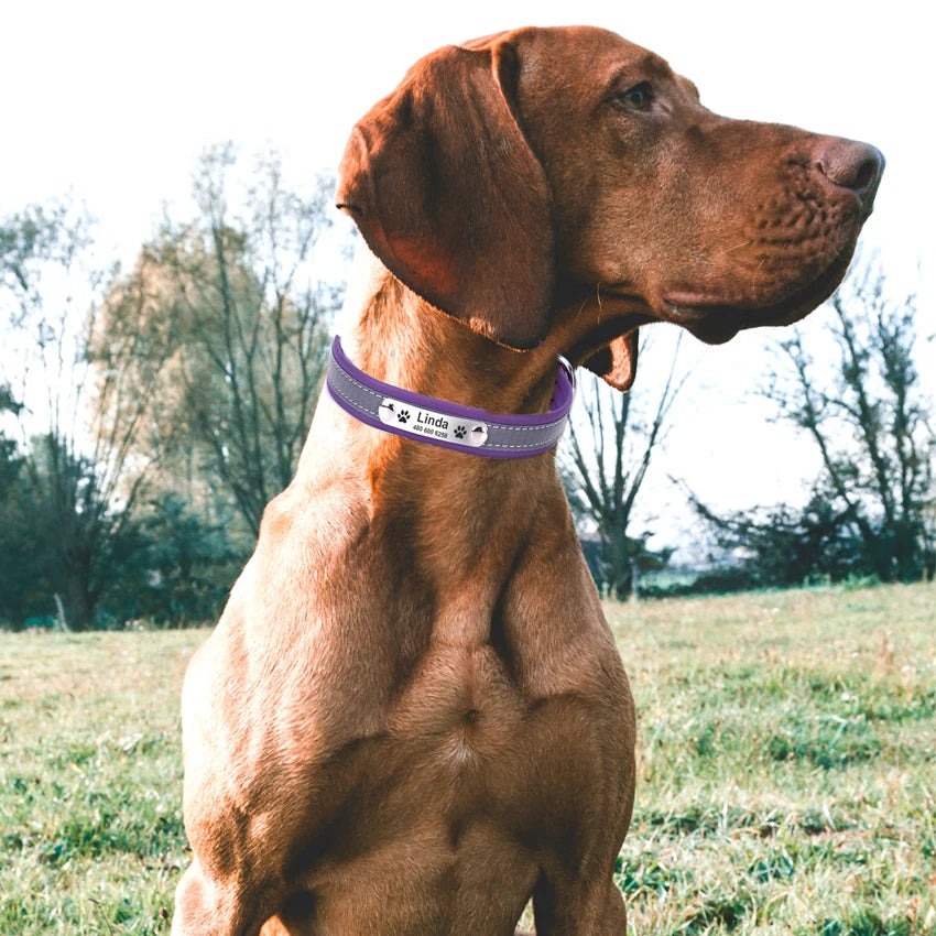 Personalized Leather Dog & Cat Collar – Reflective, Custom Engraved ID Tag