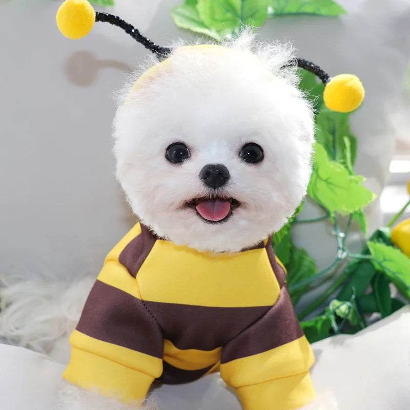 Bee Pet Puppy Coat – Fleece Hoodie Outfit for Small Dogs
