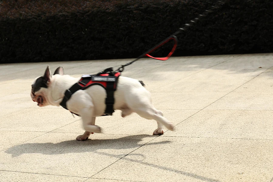 Tactical Reflective Dog Harness – No Pull Vest for Small to Large Dogs