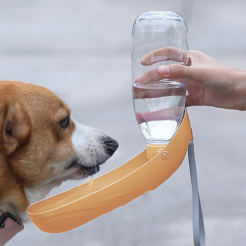 Portable Dog Water Bottle – Foldable Travel Bowl for Outdoor Adventures