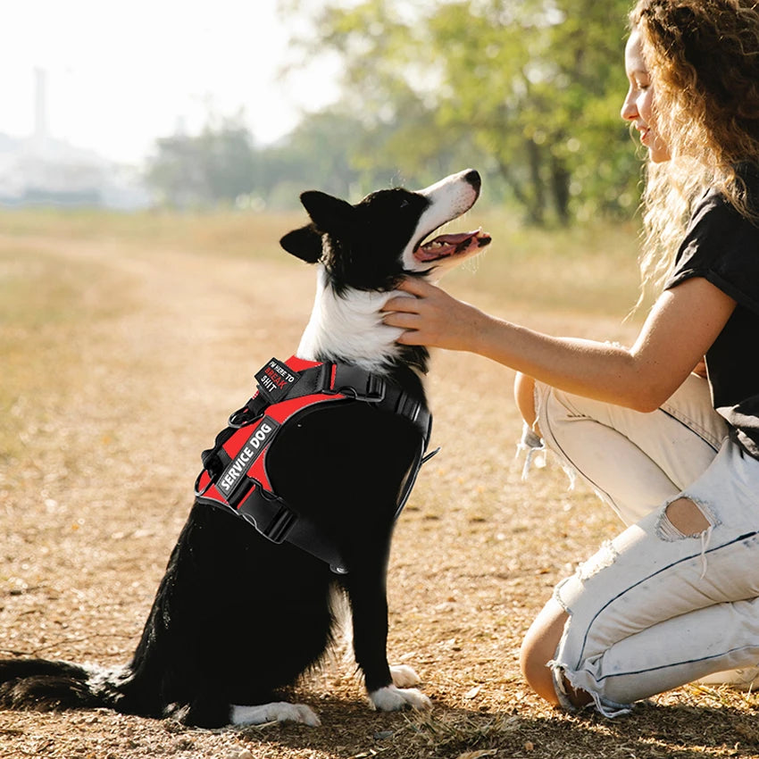 Tactical Reflective Dog Harness – No Pull Vest for Small to Large Dogs