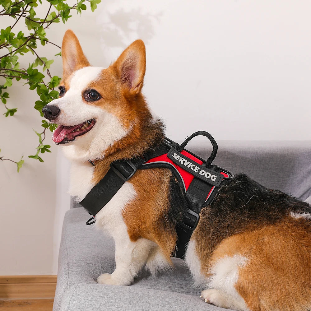 Tactical Reflective Dog Harness – No Pull Vest for Small to Large Dogs