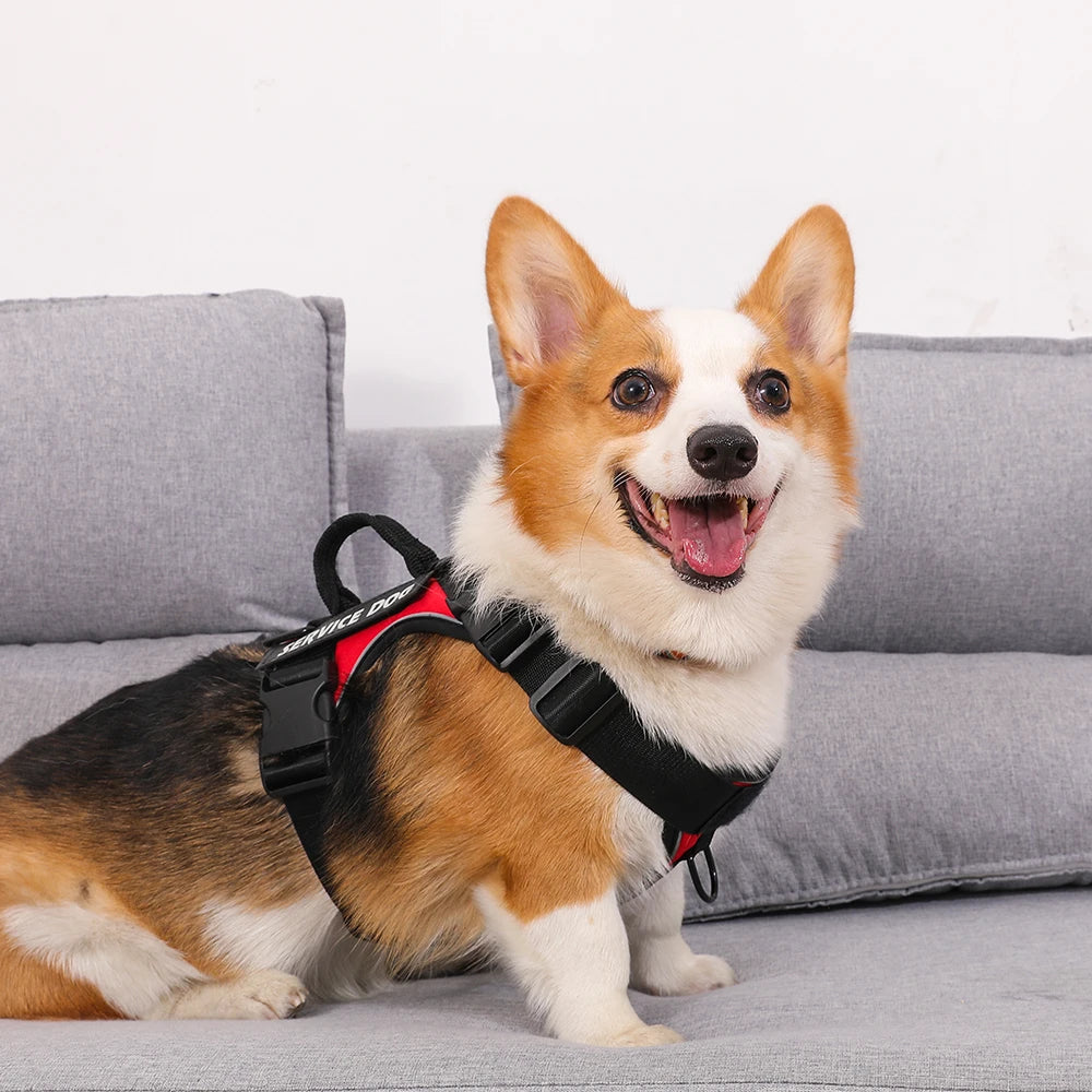 Tactical Reflective Dog Harness – No Pull Vest for Small to Large Dogs