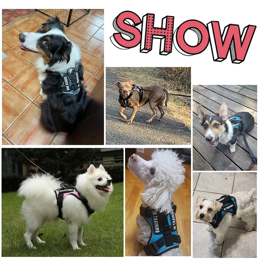Tactical Reflective Dog Harness – No Pull Vest for Small to Large Dogs