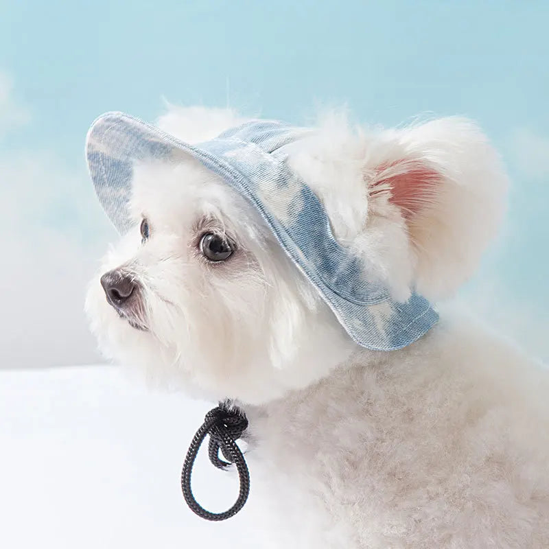 Pet Dogs Bucket Hat with Ear Holes – Sunproof Summer Baseball Hat for Outdoor Adventures
