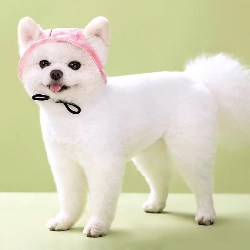 Pet Dogs Bucket Hat with Ear Holes – Sunproof Summer Baseball Hat for Outdoor Adventures