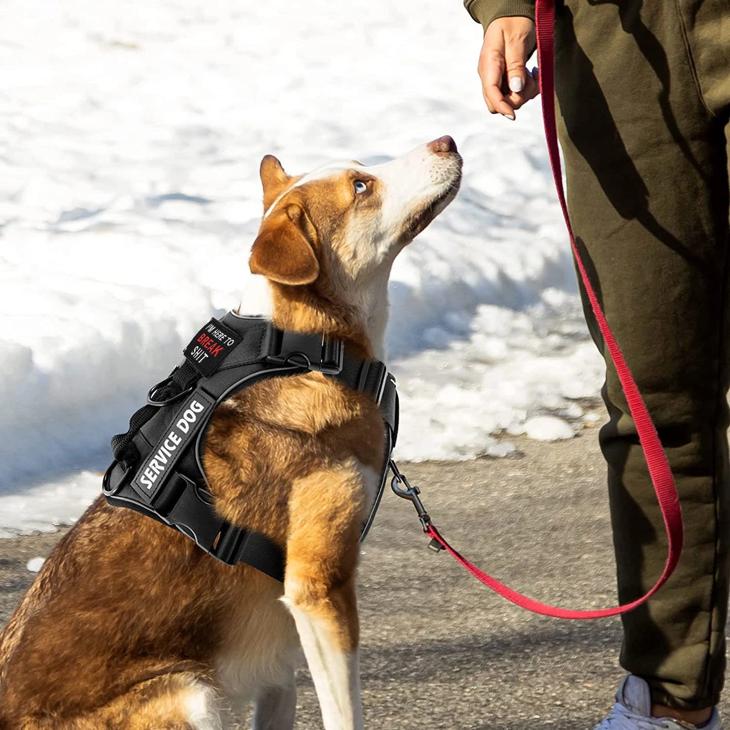 Tactical Reflective Dog Harness – No Pull Vest for Small to Large Dogs
