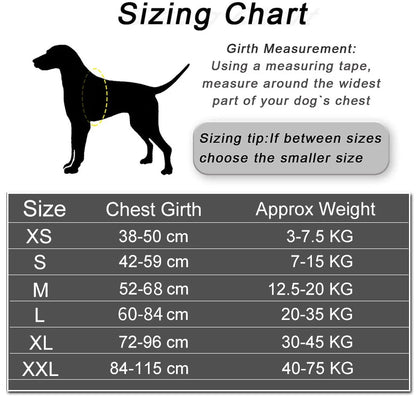 Personalized No-Pull Dog Harness – Reflective, Adjustable, & Choke-Free