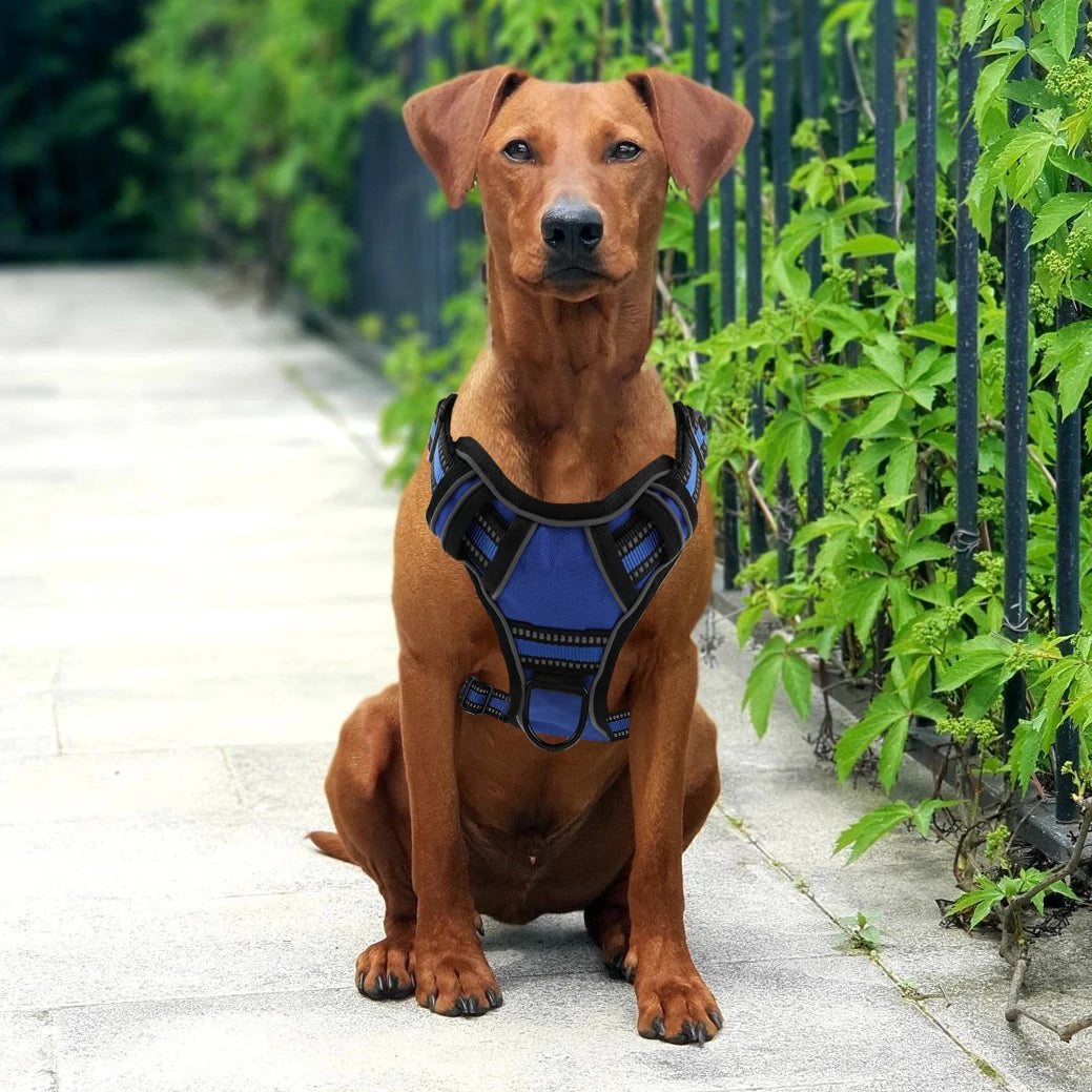 Dog Harness No Pull Breathable Reflective Vest with Handle