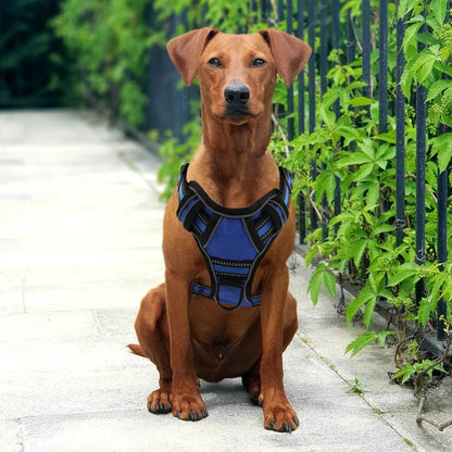 Dog Harness No Pull Breathable Reflective Vest with Handle