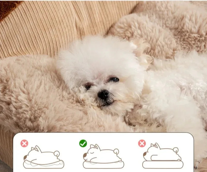 Fluffy Coral Fleece Dog Bed – Cozy Sofa-Style Pet Mat for Small to Large Breeds