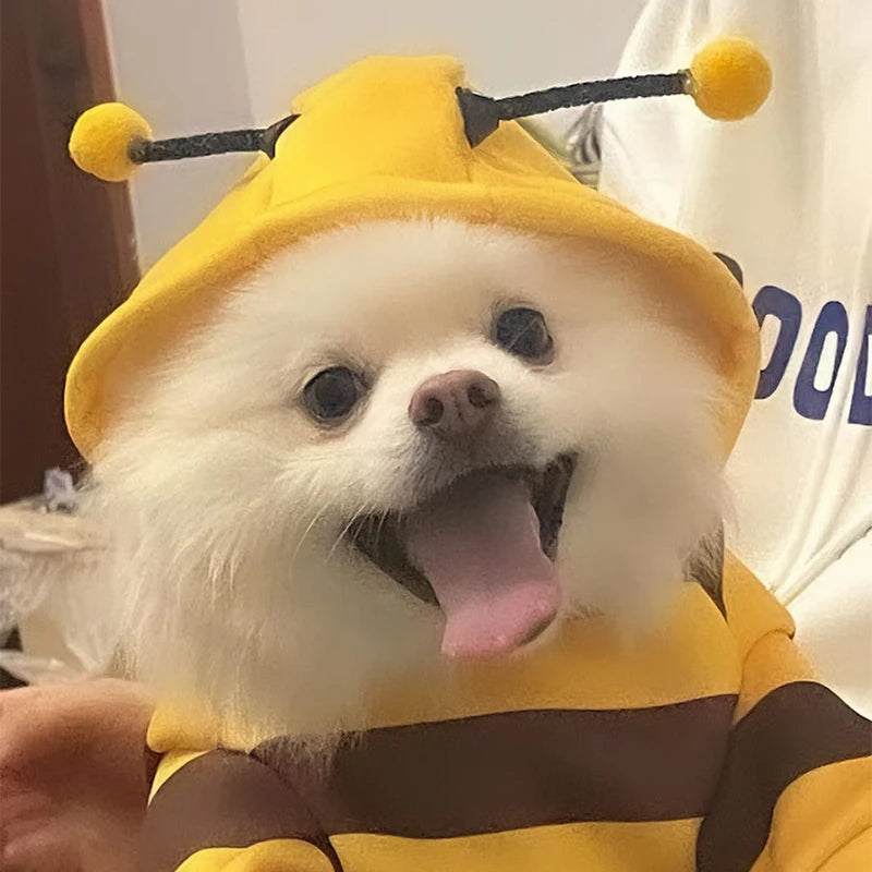 Bee Pet Puppy Coat – Fleece Hoodie Outfit for Small Dogs