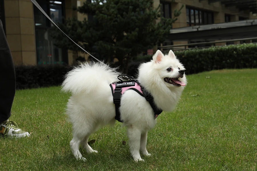 Dog Harness No pull Reflective Tactical Harness Vest for Small Large Pet Dogs Walking